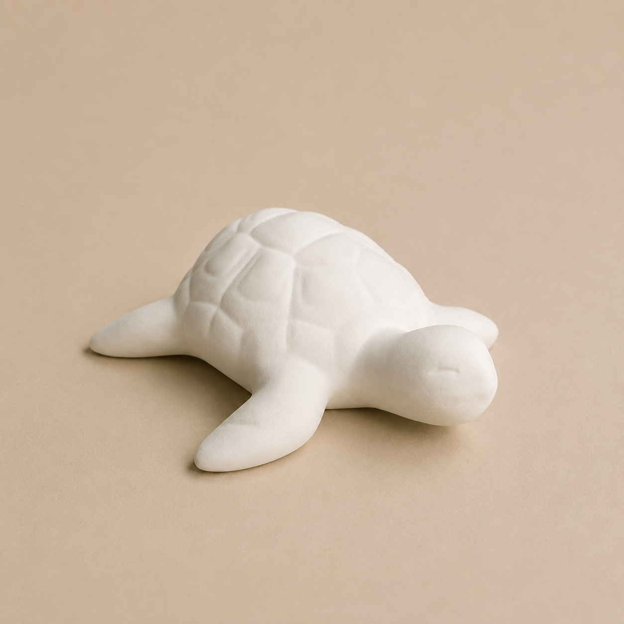 Mumu la tortue